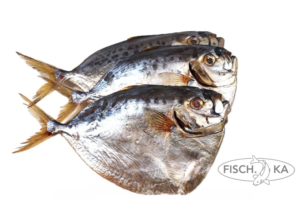 Pomfred mit Kopf rund kalt garäuchert 5 kg/pack (540237)