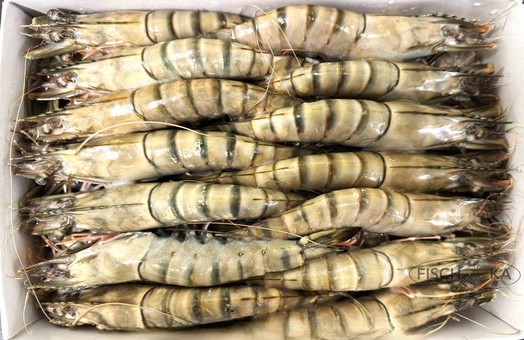 [OB350] Black Tiger Garnellen 16/20 St 1,4 kg/pack 2 Kg/pack brutto(3566)