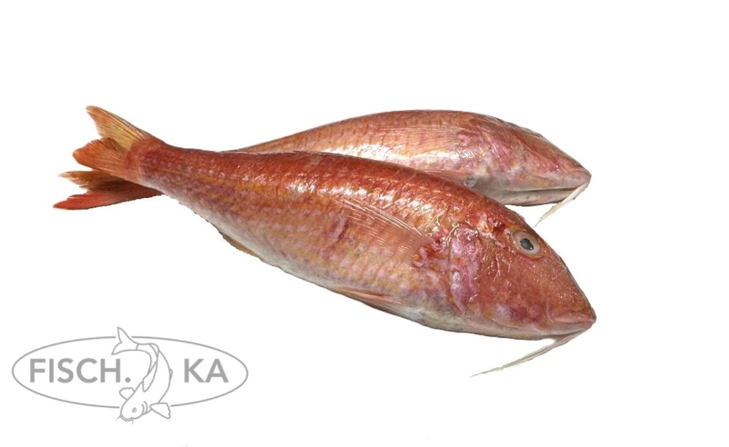 [OB383] Meerbarbe Red rund aufgetaut  90-120 g/stück 12 kg/pack (2875)
