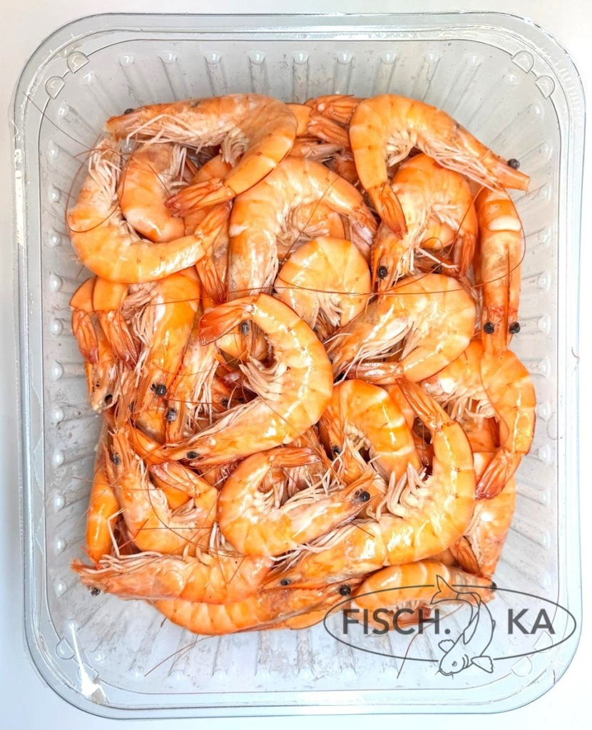 [OB544] Garnelen FRISCH VORGEKOCHT 30-40 st/kg  2 kg/pack (M2317)