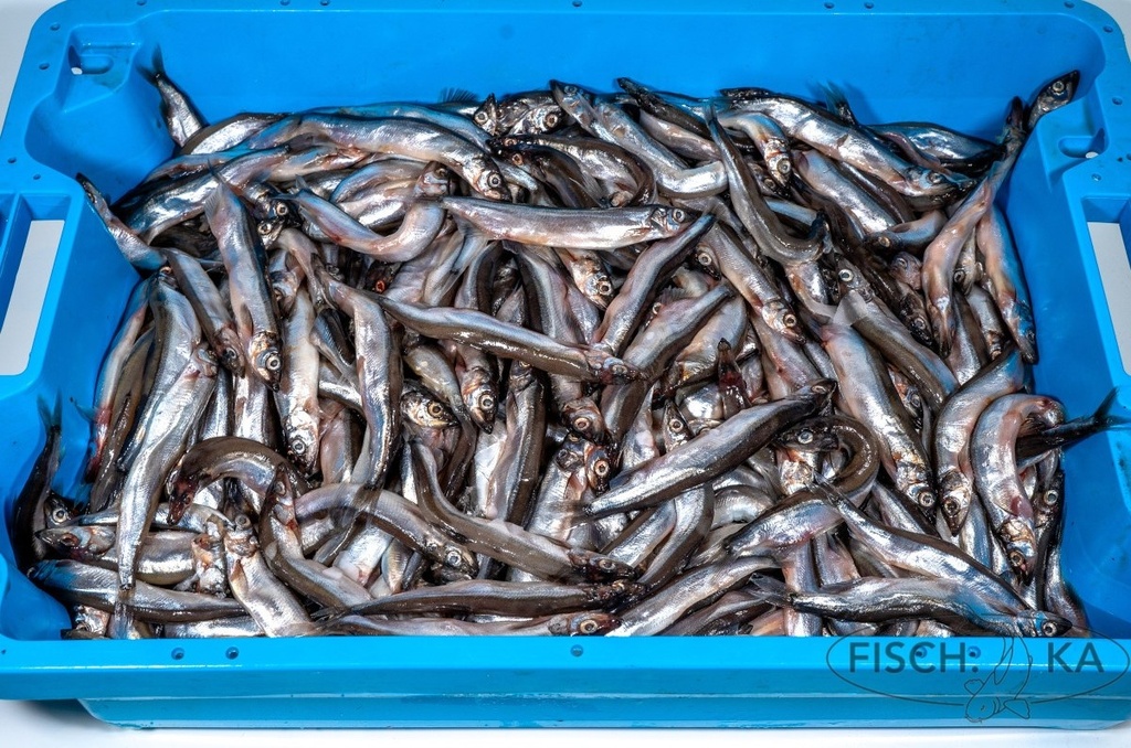 [OB57] Capelin aufgetaut 12 kg/pack (632)