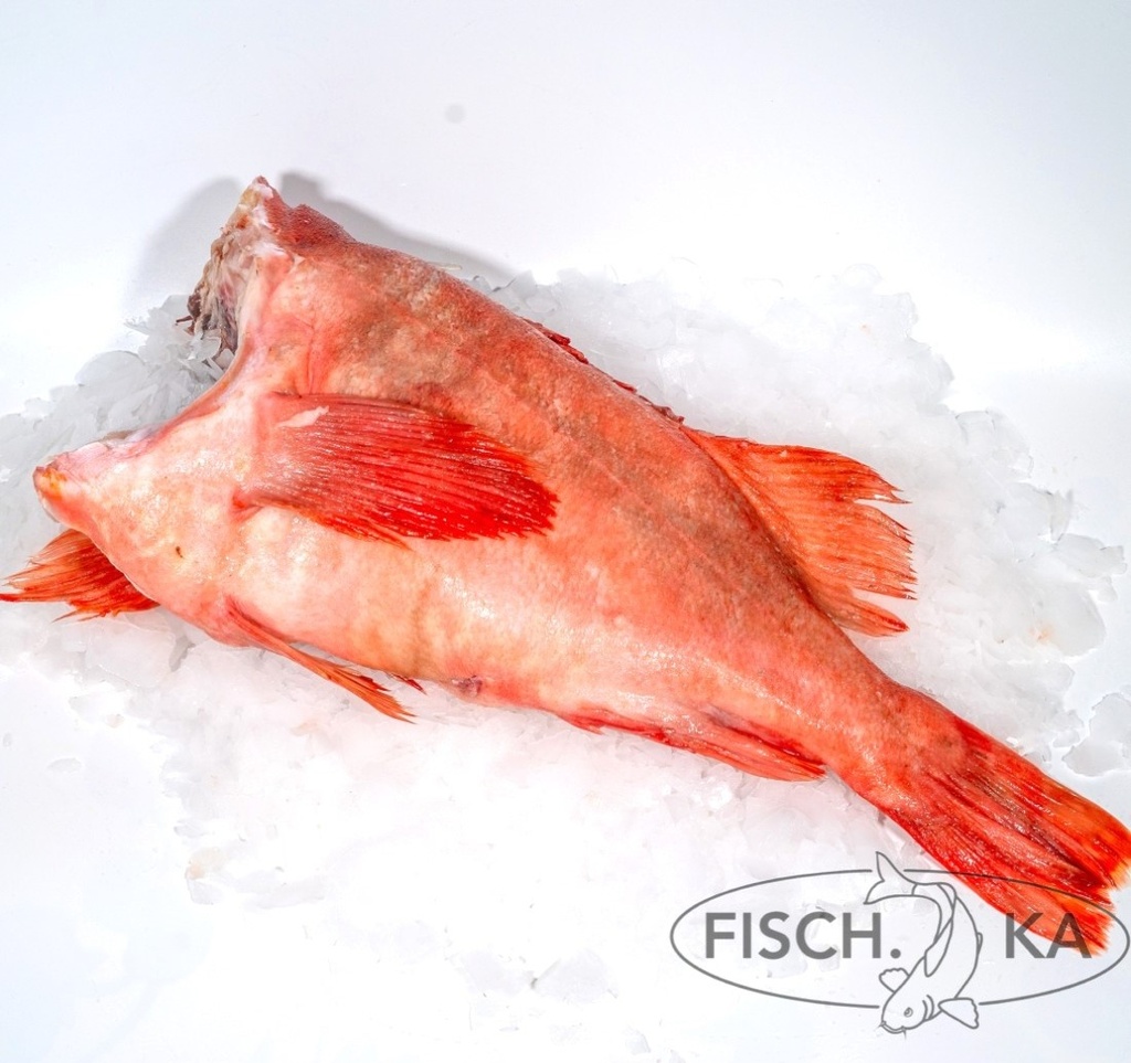 [OB67] Rotbarsch ohne Kopf (ROT) aufgetaut  300+g/st 12 kg/pack (1754)