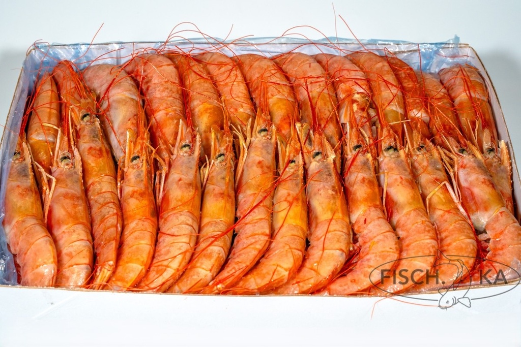 [OB92] Argentinische Garnelen Rot 10/15 st/kg 2 kg/pack (4304)