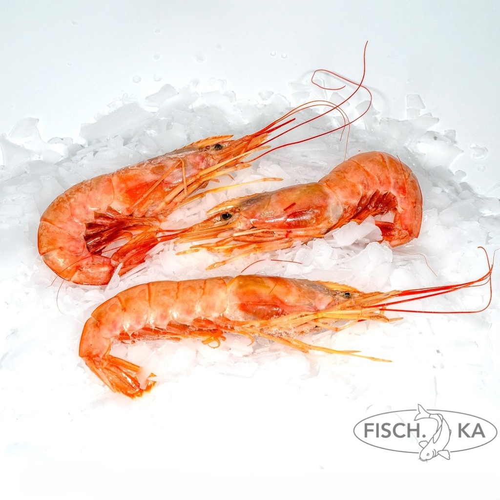 [OB94] Garnelen VORGEKOCHT 30-40 st/kg  2 kg/pack (659)