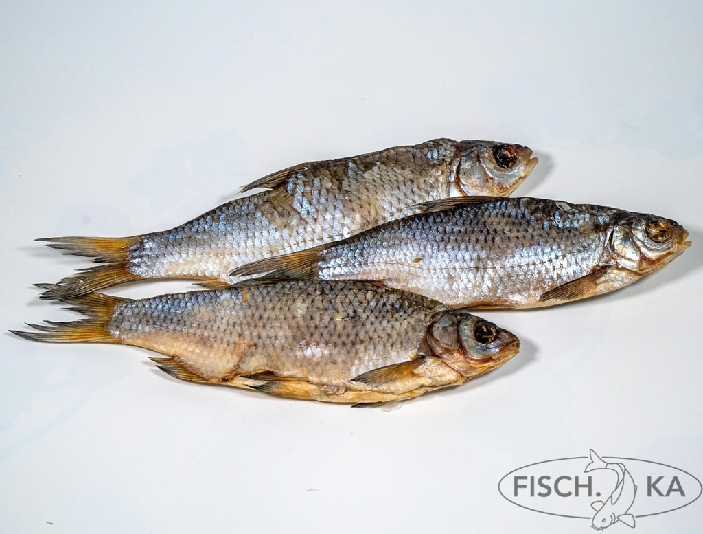 Wobla (Plötze) wenig gesalzen ausgenommen 5 kg